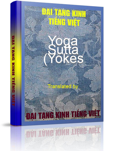 Đại Tạng Kinh Việt Nam